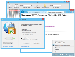 SSL Enforcer Screenshots
